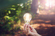 © Johnér - Hand holding lightbulb