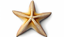 Starfish, Isolated, White Background, Generative Ai