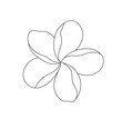 Vector isolated one single beautiful tropical flower with five petals colorless black and white contour line easy drawing