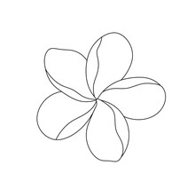 Vector Isolated One Single Beautiful Tropical Flower With Five Petals Colorless Black And White Contour Line Easy Drawing