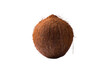 coconut isolated on transparent background with clipping path. Perfectly retouched. ready-to-use food images. Pack shoot.
