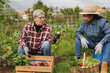 © Sabrina - Multiracial senior women having fun together during harvest period in the garden