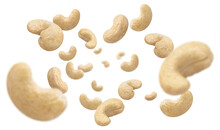 Flying Cashew Nuts Cut Out