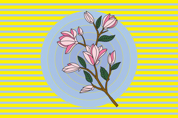Wall Mural - Illustration of Verbanica Saucer Magnolia flower are blooming on blue circle on yellow line background.