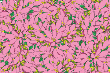 Wall Mural - Illustration of the pink flower with leaves background.