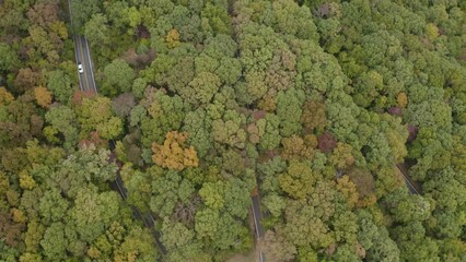 Wall Mural - Car driving during road trip through Fall Foliage colors in Northwest Arkansas along state Highway during Autumn season - 4K Drone