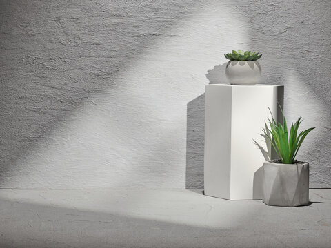 Fototapete - Gray concrete background for product presentation and home plants