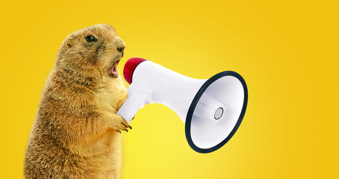 funny gopher is holding a loudspeaker and screaming. creative idea, management and business. the con