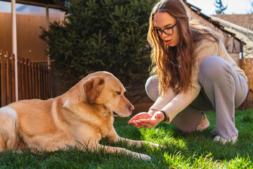 Wall Mural - A young girl student is petting and feeding and playing with her pet dog labrador in backyard 