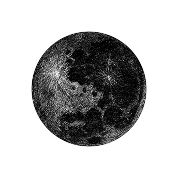 Fototapete - Moon. Natural satellite. Astronomical galaxy space. Engraved hand drawn in old sketch, vintage style for label.