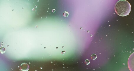 Canvas Print - Animation of bubbles moving on green and purple background with copy space