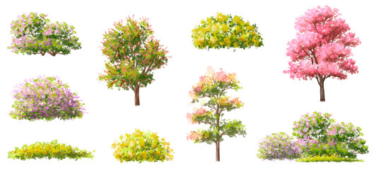 Wall Mural - vector watercolor blooming flower tree side view isolated on white background for landscape and arch