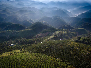 Wall Mural - Fanciful scenery of an early morning when the sun rises over the Dai Lao mountain range, Bao Loc district, Lam Dong province, Vietnam