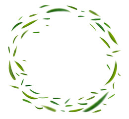 Wall Mural - green leaves flying in the air isolated on background.