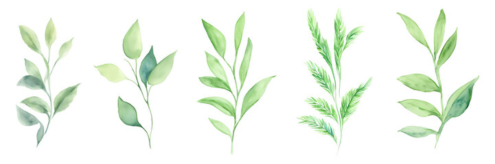  Leaves of wild grass, tropical leaves, elements for summer design