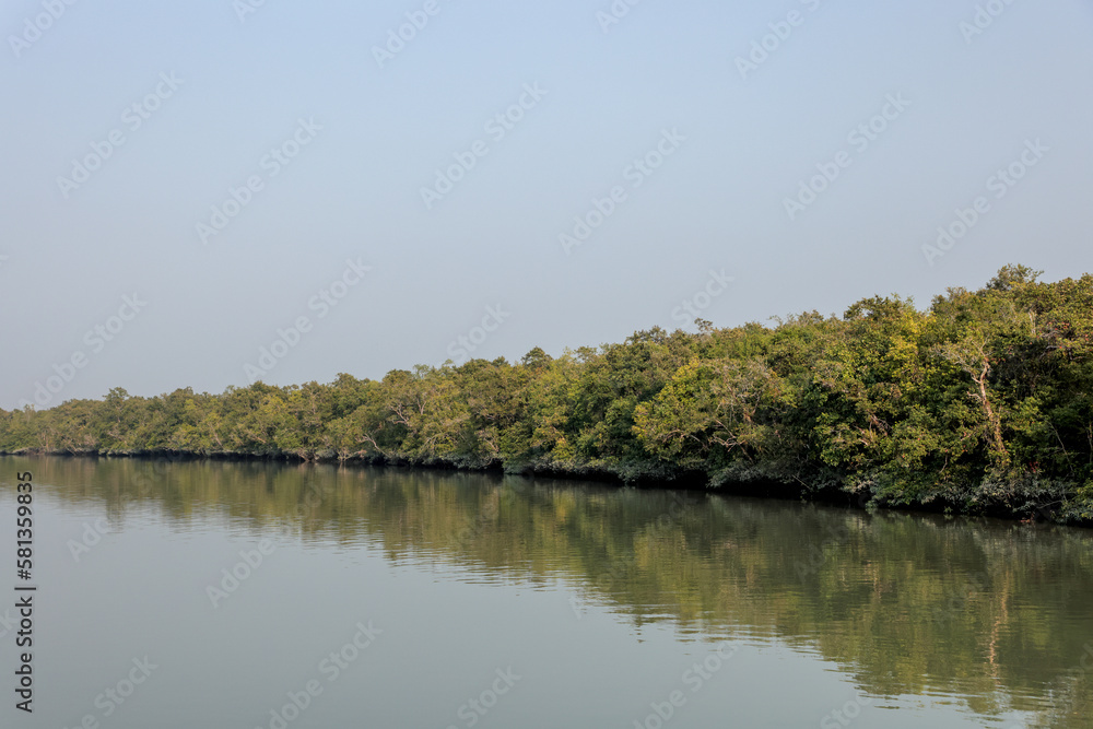 Sundarbans National Park.sundarbans is the largest mangrove forest in ...