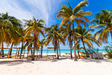 Fototapeta  - Tropical paradise beach with white sand and coco palms travel tourism wide panorama background. Luxury vacation and holiday, tropical beach resort concept. Beautiful beach design