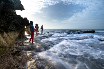 Wall Mural - Green sea moss on rocks with sea waves. Close-up shots