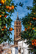San Sebastian church tower in Antequera, Malaga Province, Andalusia, Spain