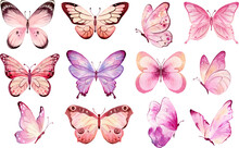 Pink Butterfly Watercolor Illustration. Butterflies Clipart Set. Spring Or Summer Decoration