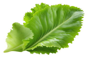 Sticker - Delicious lettuce leaves cut out. Based on Generative AI