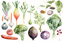Watercolor Painted Collection Of Vegetables.