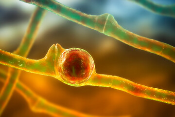 Wall Mural - Basidiobolus ranarum microscopic fungi, 3D illustration. Cause chronic inflammatory subcutaneous mucormycosis