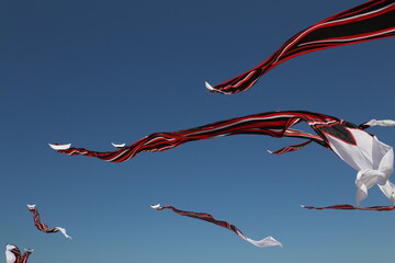 Flying Kites Festival Sanur Bali where all the kites only can adding black, white, red colours on all of the kites. Each group participant bring around Bali bring their biggest beautiful kites 