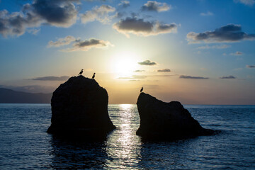 Wall Mural - stones in sea under moon light