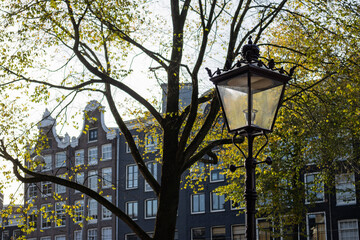 Wall Mural - Street Light during Autumn with Colorful Trees and Old Historical Buildings in Amsterdam Centrum