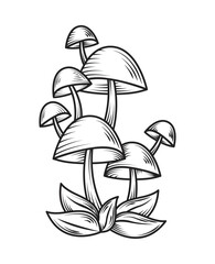 Wall Mural - mushrooms leaves icon