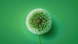 © Ultra Png - Dandelion isolated on graan background with copy space for text. generative ai