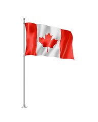 Wall Mural - Canadian flag isolated on white