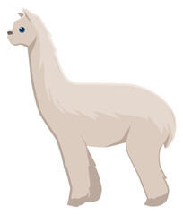 Poster - Alpaca icon. Wild llama animal. Zoo fauna