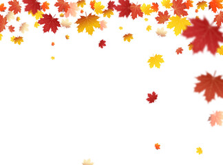 Wall Mural - autumn falling leaves on white background vector template. autumn leaf vector