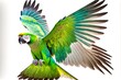 wings of large flying parrot on white with green feathers, created with generative ai