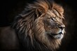 a picture of a large, gorgeous male African lion against a dark background. Generative AI