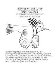 Wall Mural - Chivito de los paramos colibri dibujo 