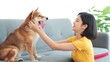 © M Stocker - Happy young Asian woman playing and stroking the head of her pet puppy cute dog shiba inu sitting on sofa at living room