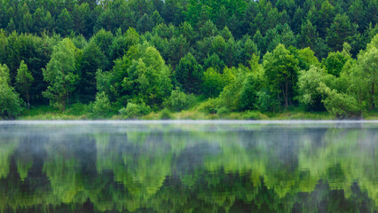 Wall Mural - Beautiful summer landscape with forest lake and reflection in water