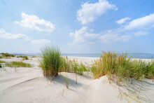 Dune Beach Landscape On A Sunny Day