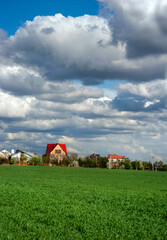 Wall Mural - Bright cumulus clouds on a spring day. Winter wheat green field and a village on the horizon