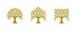 Set of tree logos in different geometric shapes: circle, square and hexagon.