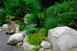 ogród japoński, ogrodowa ścieżka, drewniana ławka, żwirowa alejka i białe kamienie, japanese garden, Zen garden, garden path, piękny ogród, designer garden	