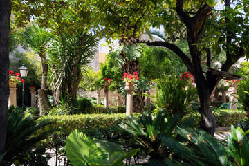 Wall Mural - Garden patio of the old Arab Baths (Banys Arabs) in Palma de Mallorca, Balearic Islands, Spain