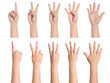 Set of hand gestures isolated on white background.