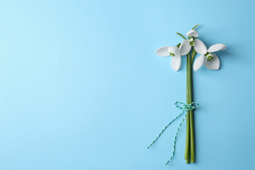 Wall Mural - Beautiful snowdrops on light blue background, flat lay. Space for text