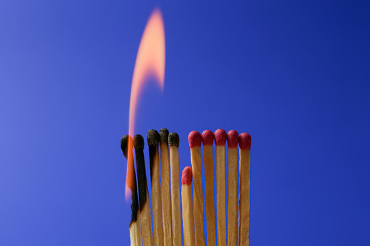 Wall Mural - Burning and whole matches on blue background. Stop destruction concept
