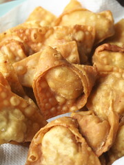 Sticker - golden deep fried wontons