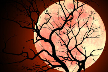 Wall Mural - Silhouette of a dry tree with a red full moon in the background.